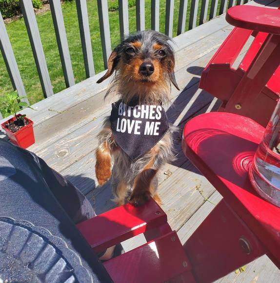 Meet your Posher, Genece - Picture 1 of 1